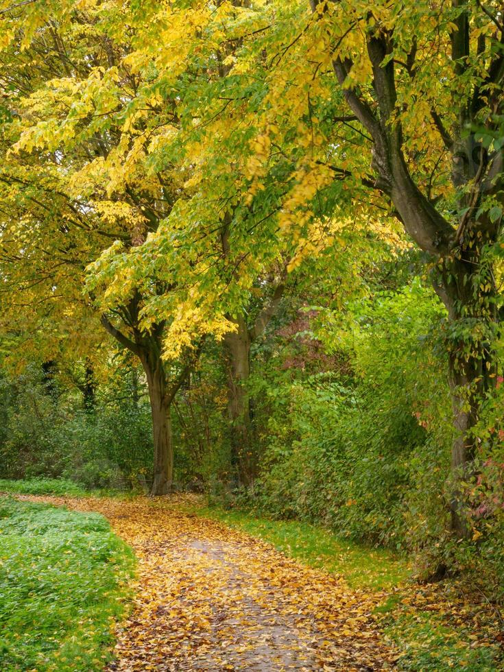 Herbstzeit an einem Fluss in Deutschland foto