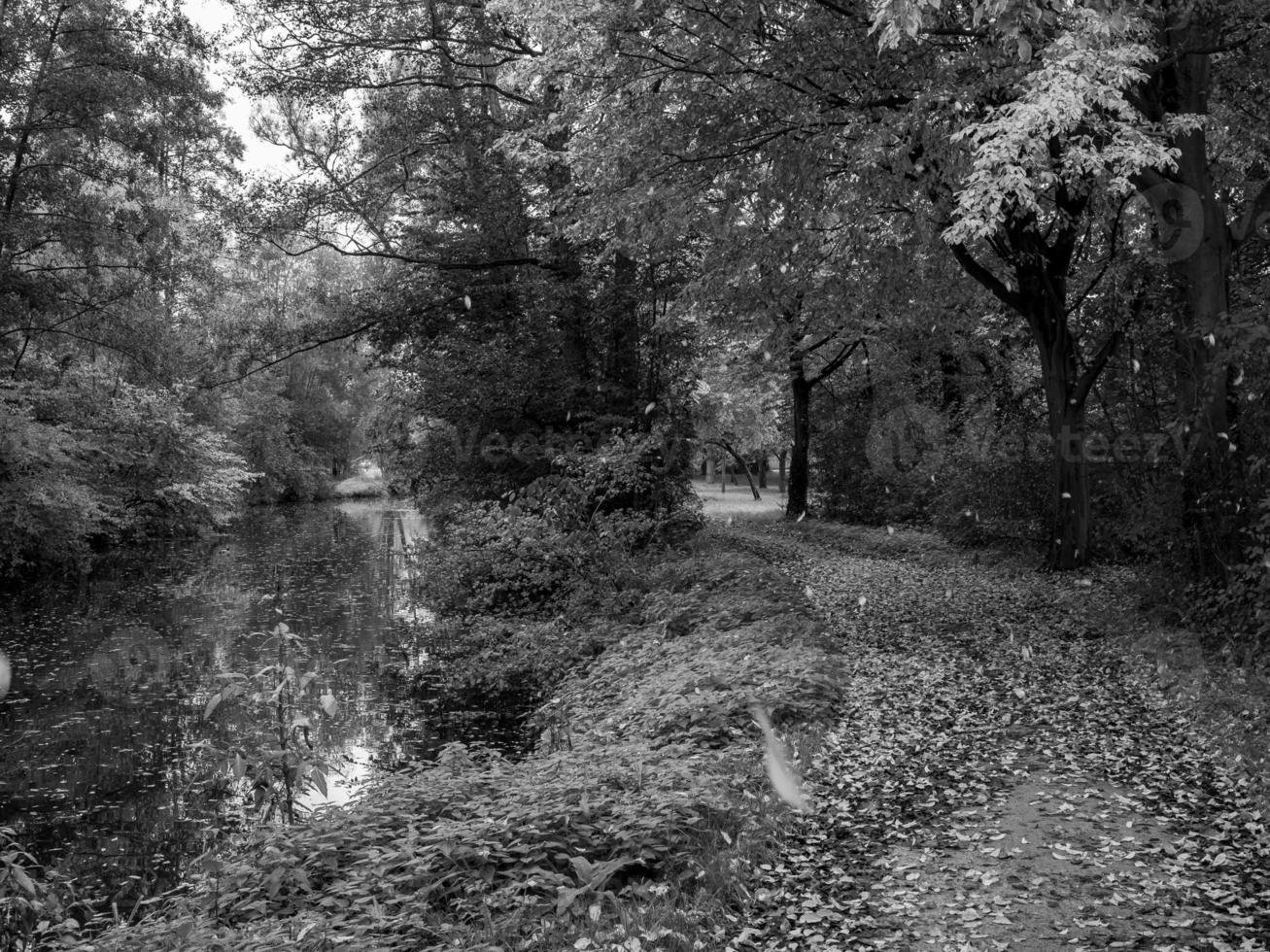 Herbstzeit an einem Fluss in Deutschland foto