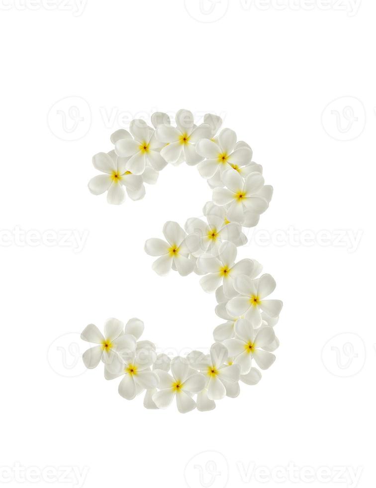 Zahlen drei aus tropischen Blumen Frangipani, isoliert auf weiss foto