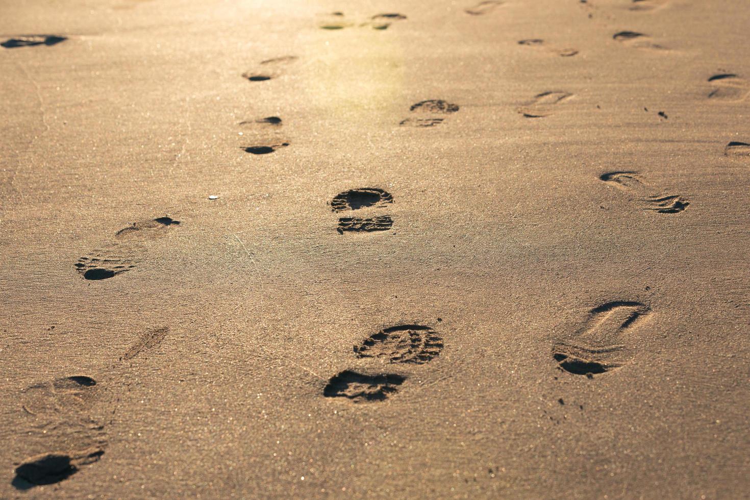 Schritte im Sand foto