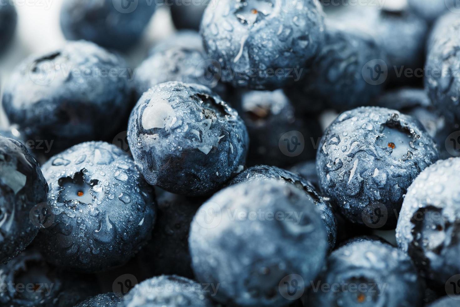 Heidelbeeren Nahaufnahme im Vollbildmodus mit Tautropfen. foto