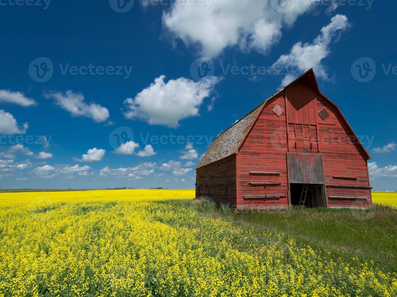 Bauernhof in Saskatchewan foto