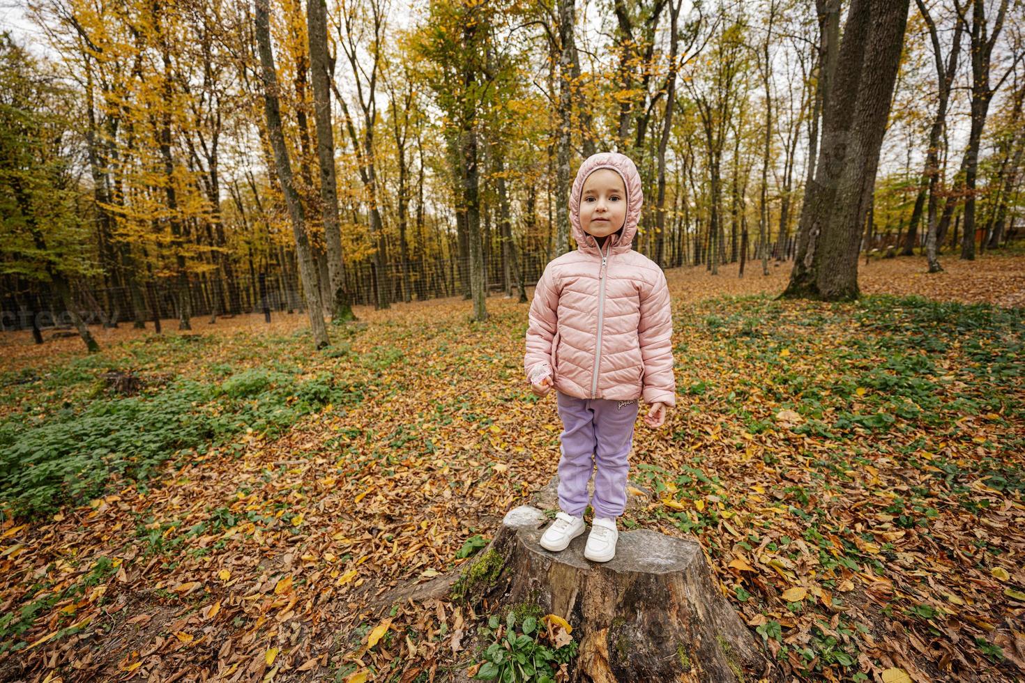 Babymädchen stehen auf Baumstumpf im herbstlichen Wald. foto