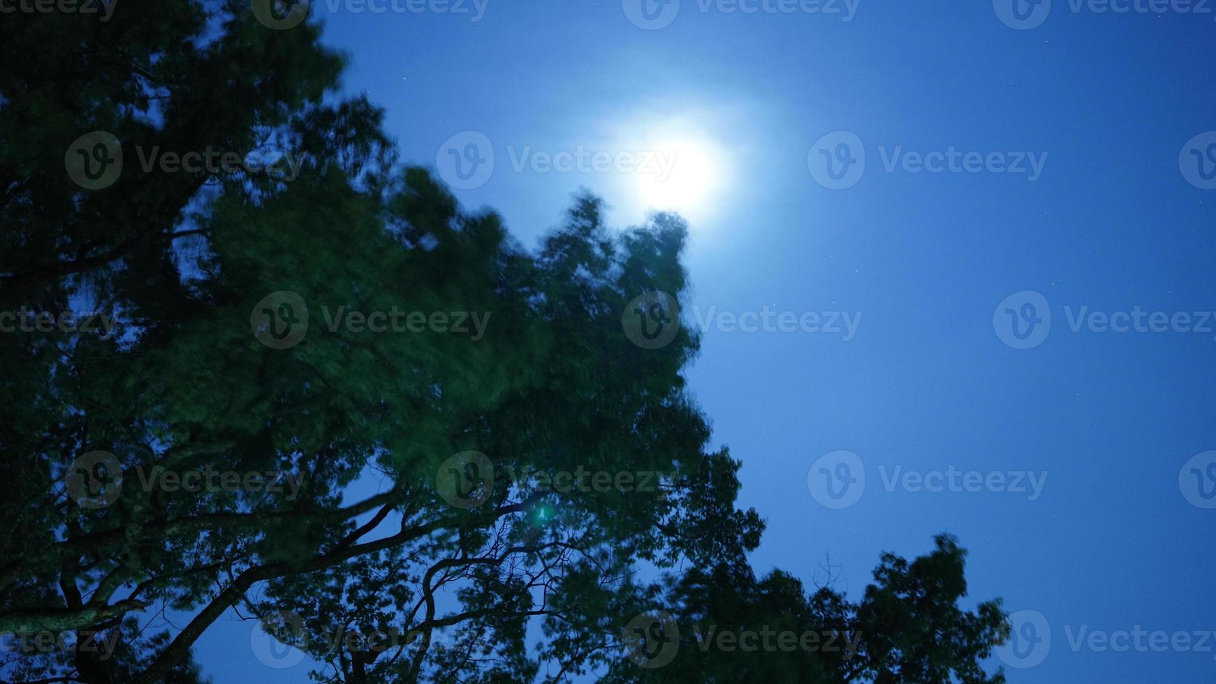 die mondhimmelansicht mit dem runden mond am himmel foto