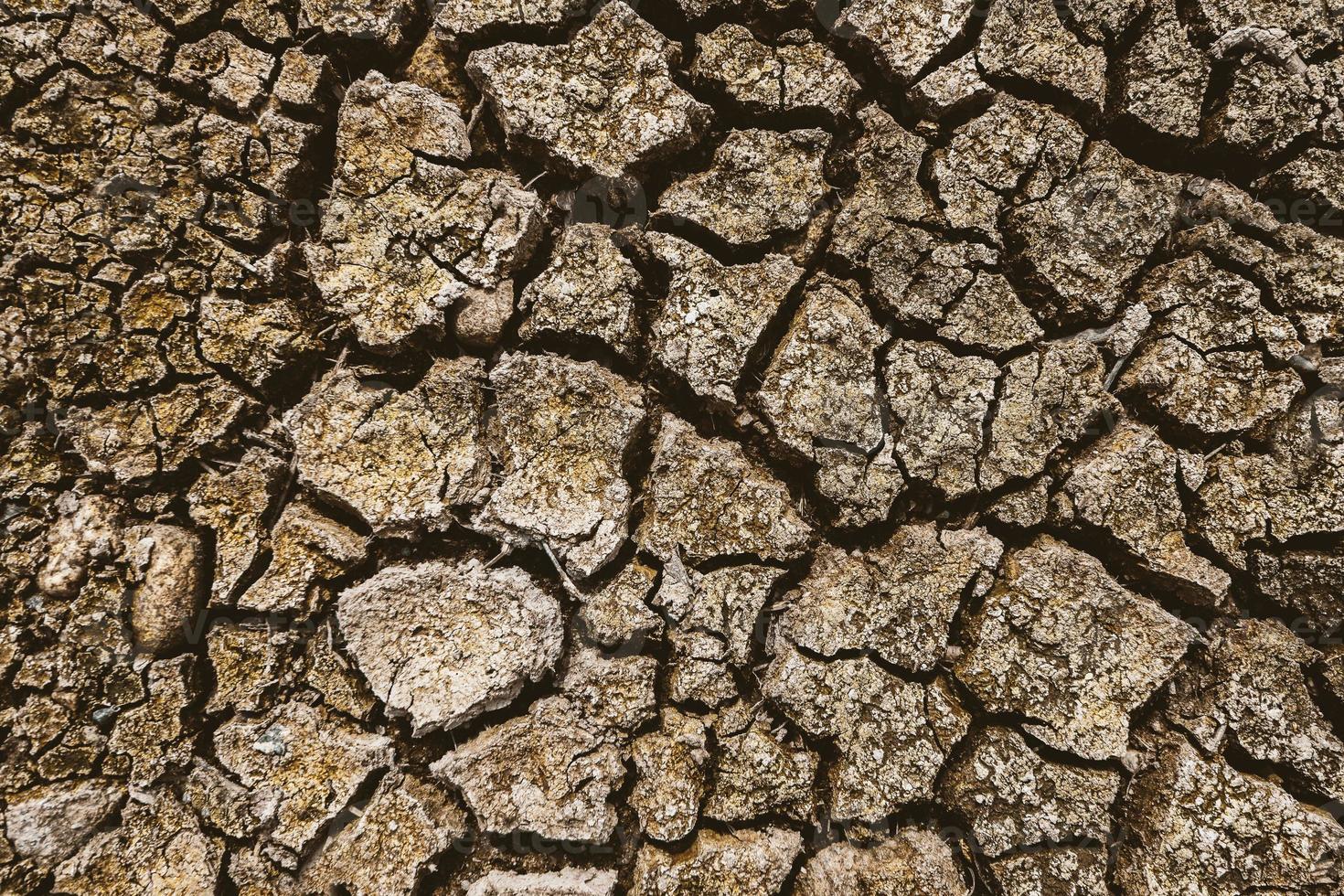 Boden aufgrund von Dürre rissig, kein saisonaler Regen aufgrund der globalen Erwärmung. foto