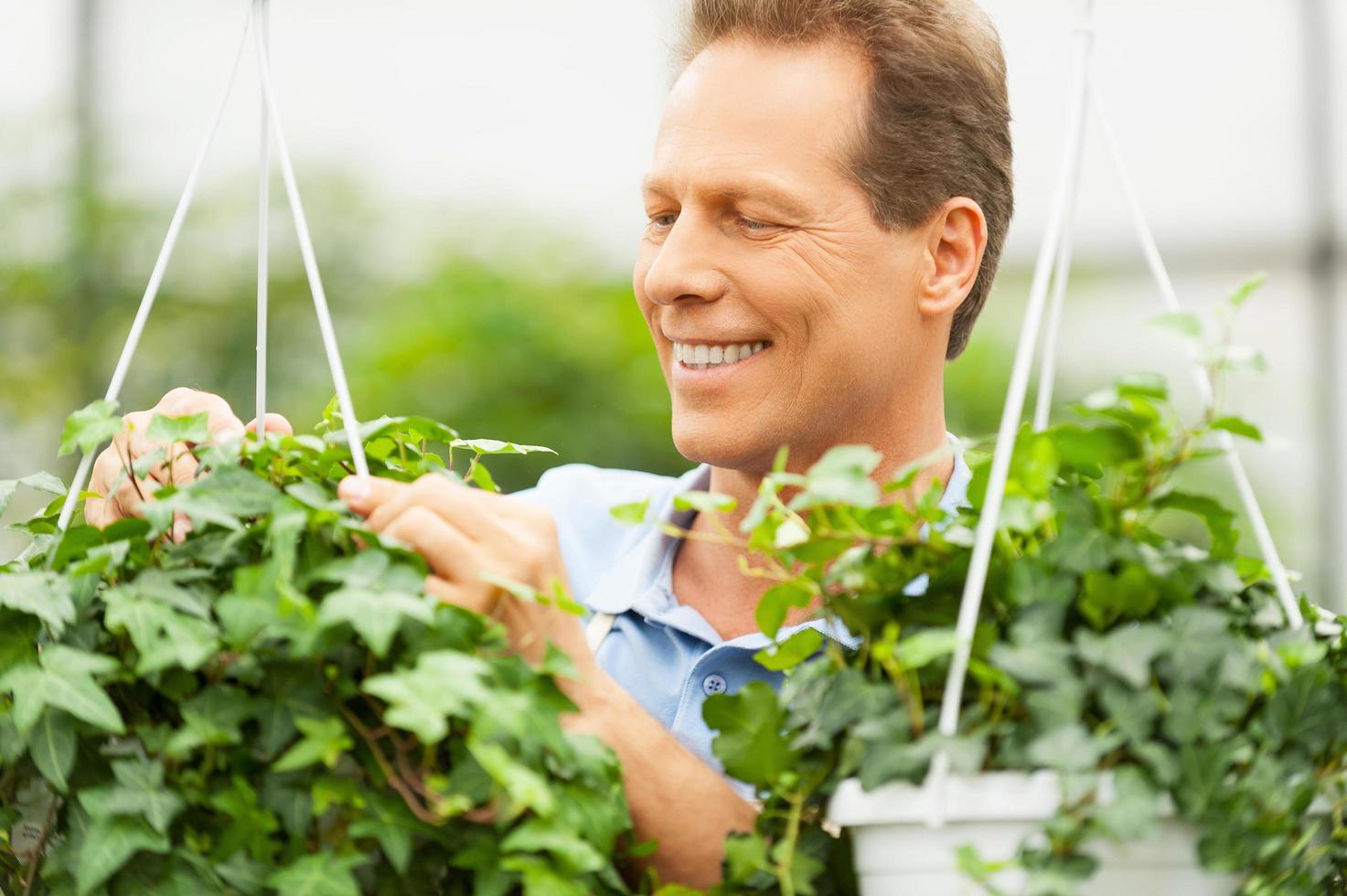 Gartenarbeit. Schöner reifer Mann, der in einem Garten arbeitet und lächelt foto