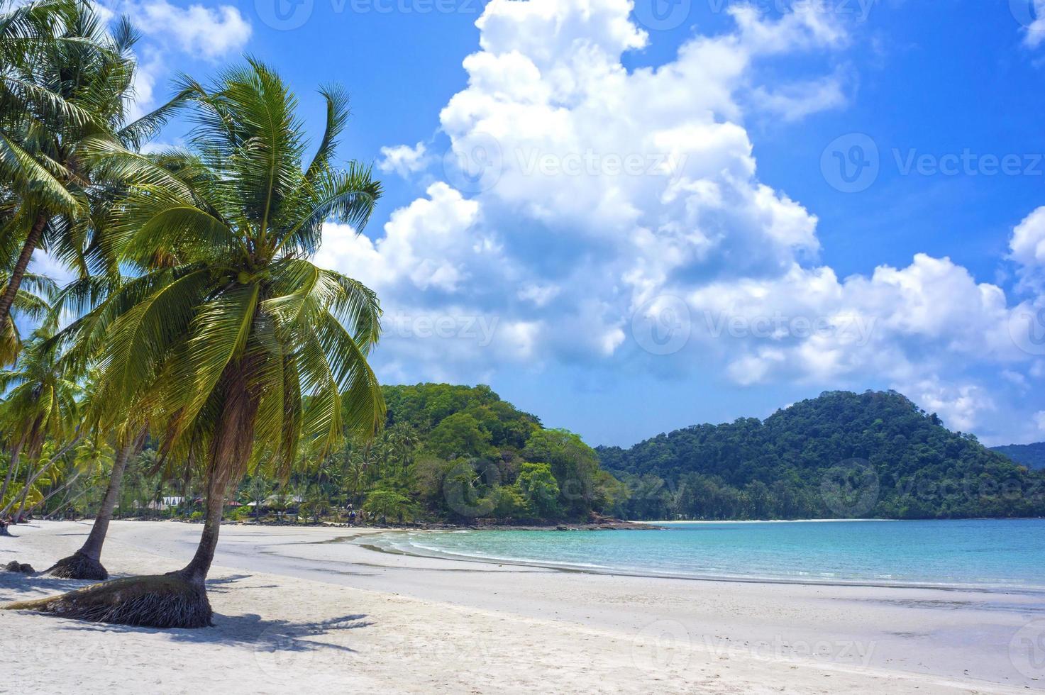 tropisches Resort mit grüner Lagune und Palme foto