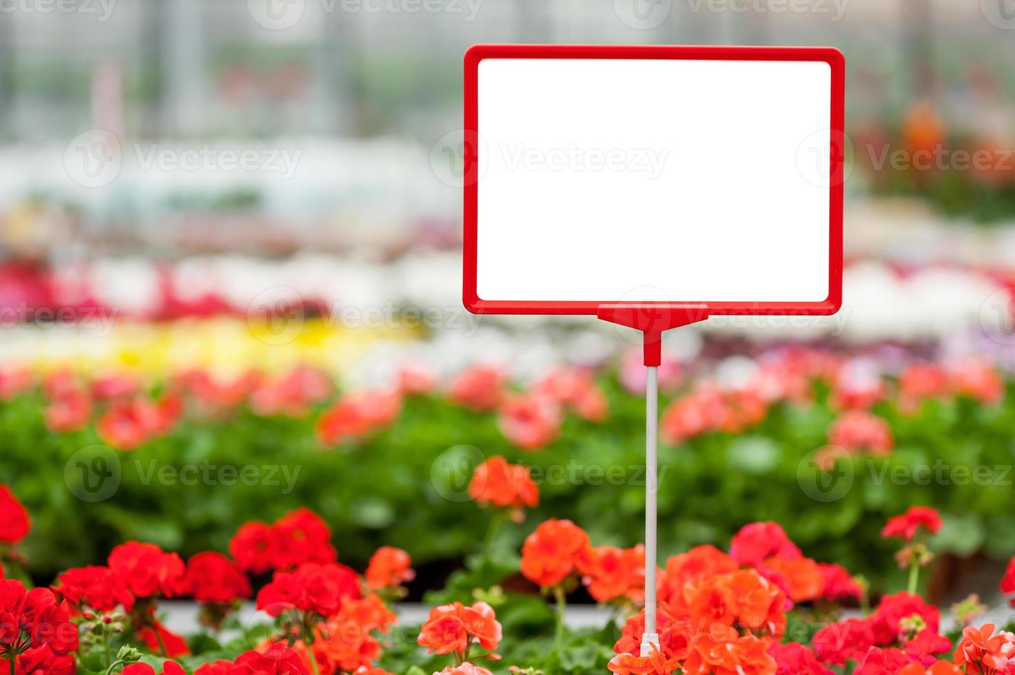 Kopieren Sie Platz im Blumenbeet. Nahaufnahme des Kopierbereichs auf dem Handelsschild mit Blumenbeet im Hintergrund foto