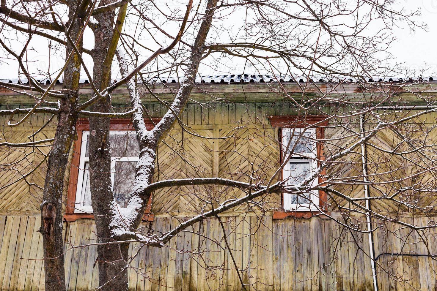Kahler Baum und Wand des alten Holzhauses foto