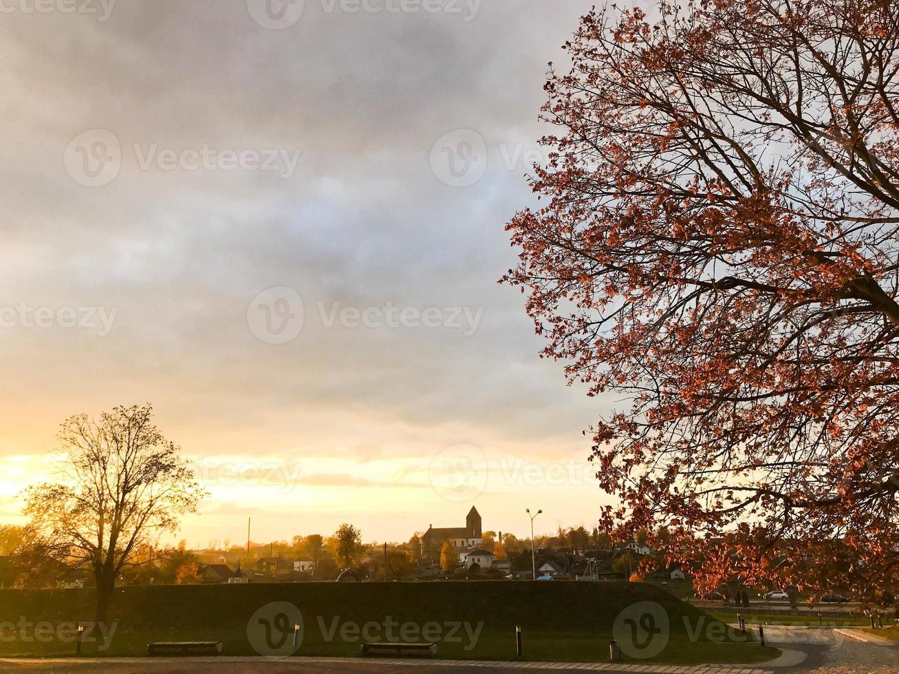 Landschaft eines schönen Parks und Herbstnatur mit Bäumen bei Sonnenuntergang foto