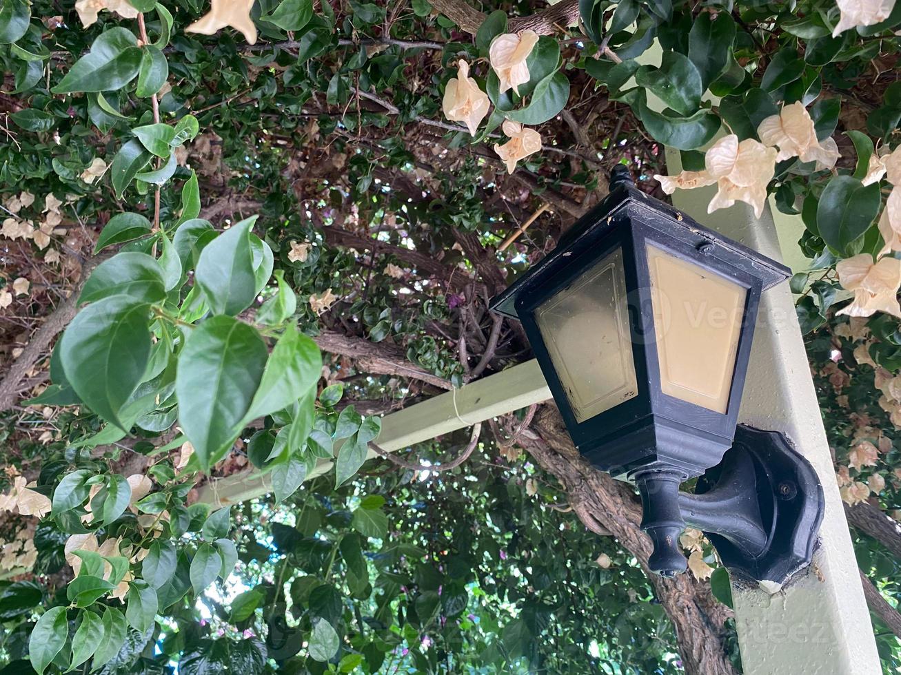 ein schöner altmodischer klassischer Laternenpfahl in einem Pflanzenstrauch mit grünen Blättern foto