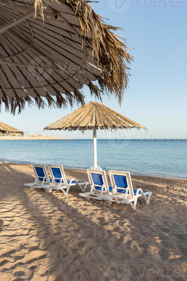 eine Sonnenliege unter einem Sonnenschirm. Sandstrand mit Palmen mit Pergola aus Metall und Sonnenliegen aus Kunststoff foto