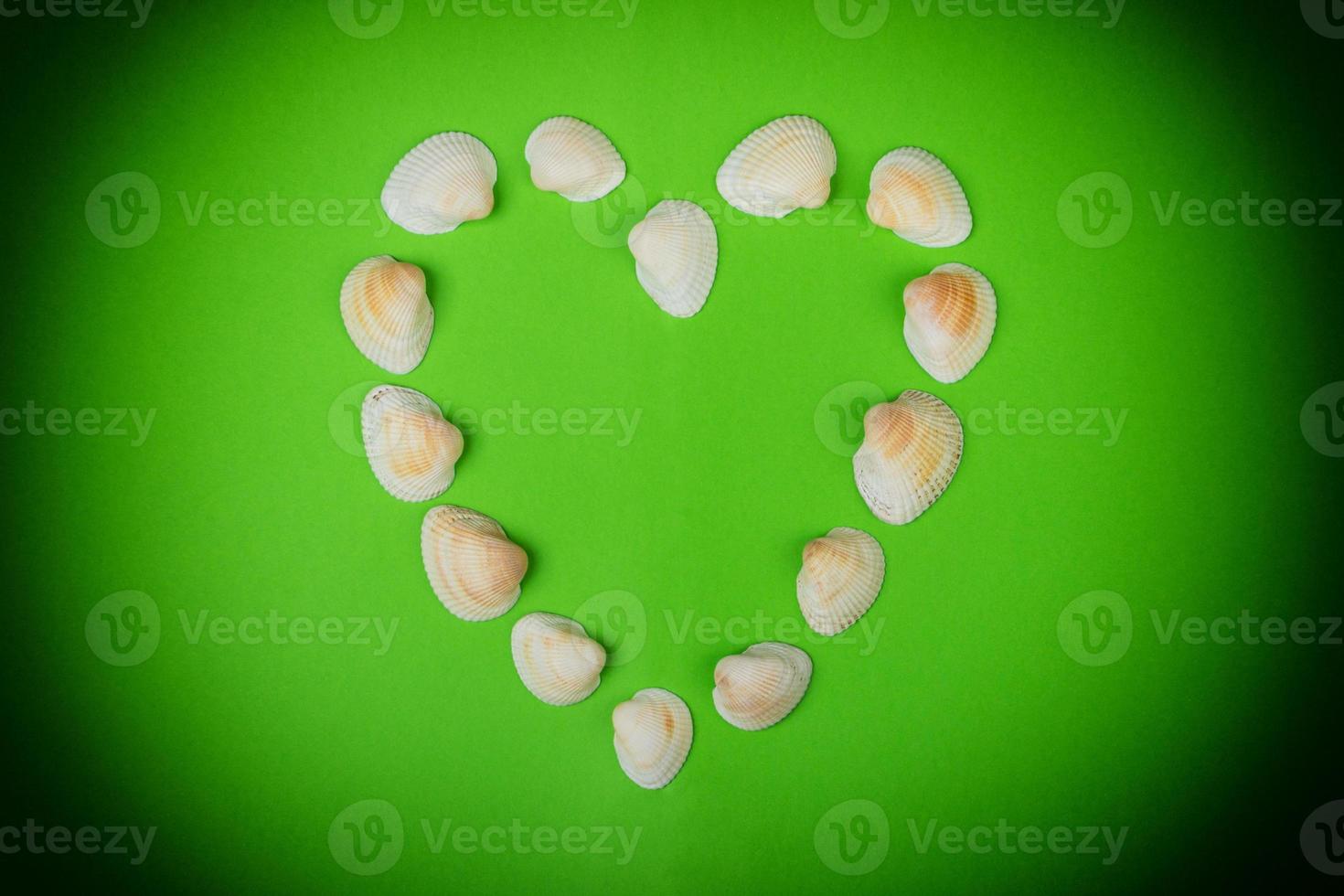 Symbolisches Herz aus Muscheln, die auf grünem Hintergrund liegen foto