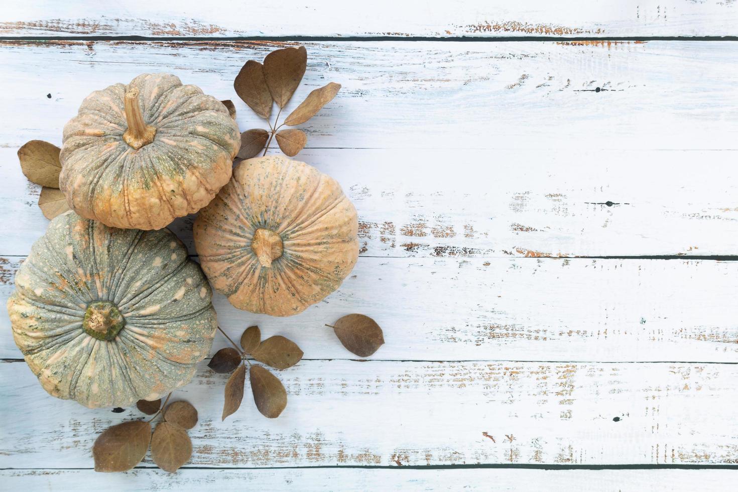 Herbst und Erntedankfest Hintergrund foto