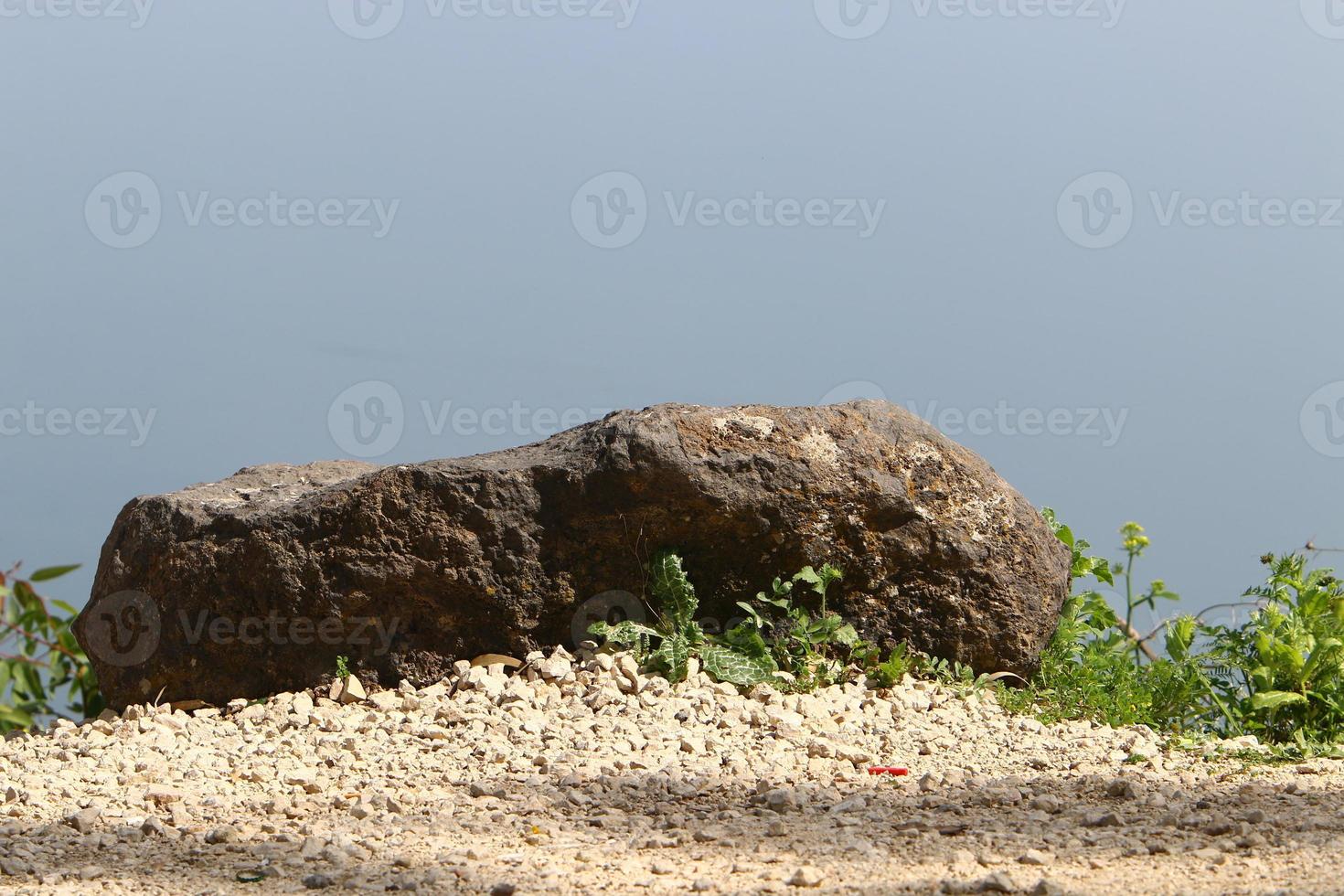 Steine in einem Stadtpark am Meer im Norden Israels foto