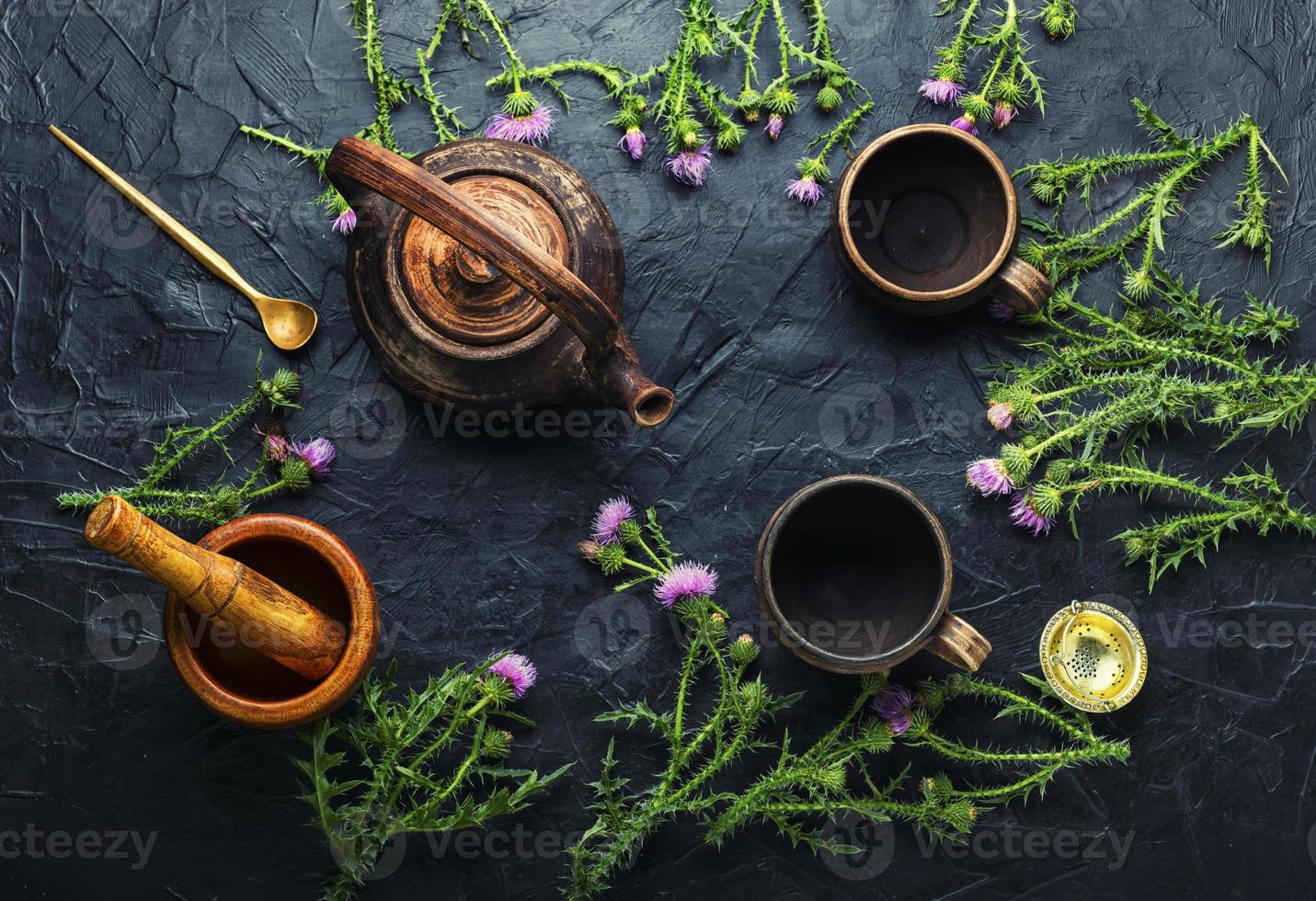 Distel in der Kräutermedizin foto