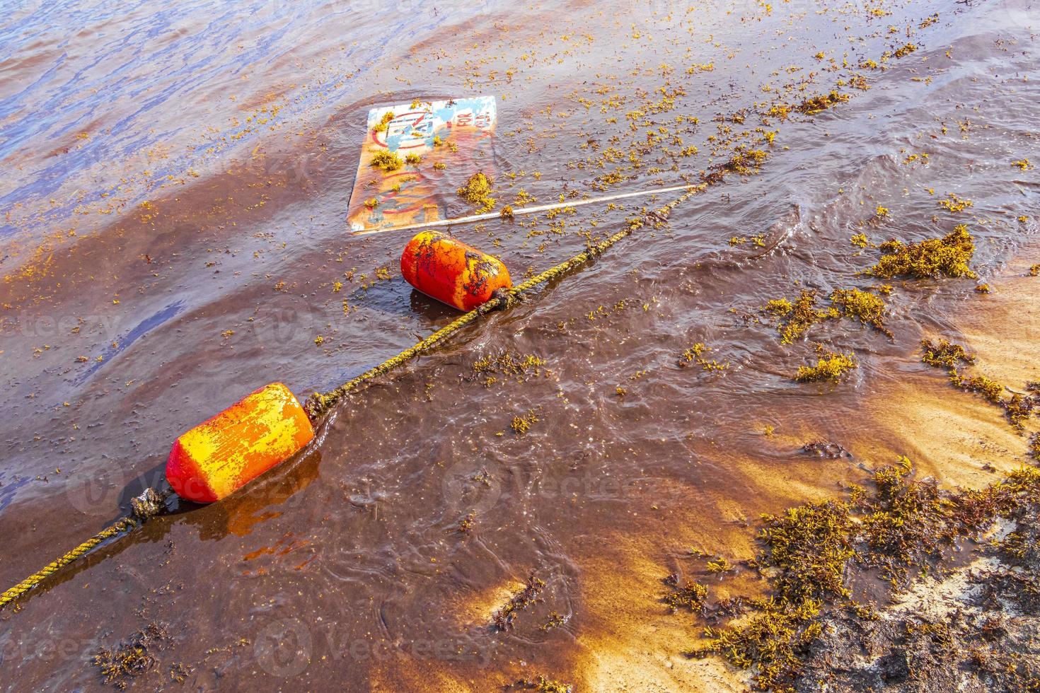 sehr ekelhafter roter algen-sargazo-strand mit müllverschmutzung mexiko. foto