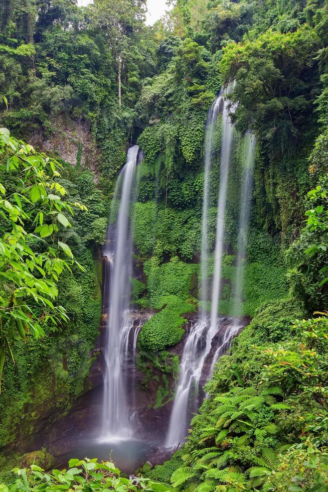 Sekumpul Wasserfälle in Bali, Indonesien foto