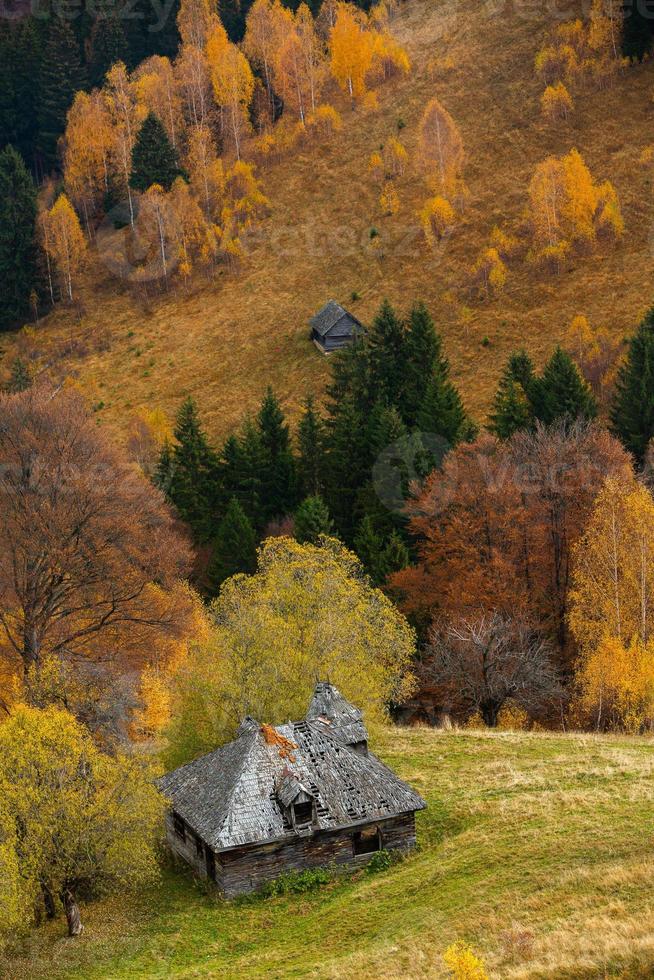 bunte Herbstlandschaft im Bergdorf. nebliger morgen in den karpaten in rumänien. erstaunliche Natur. foto