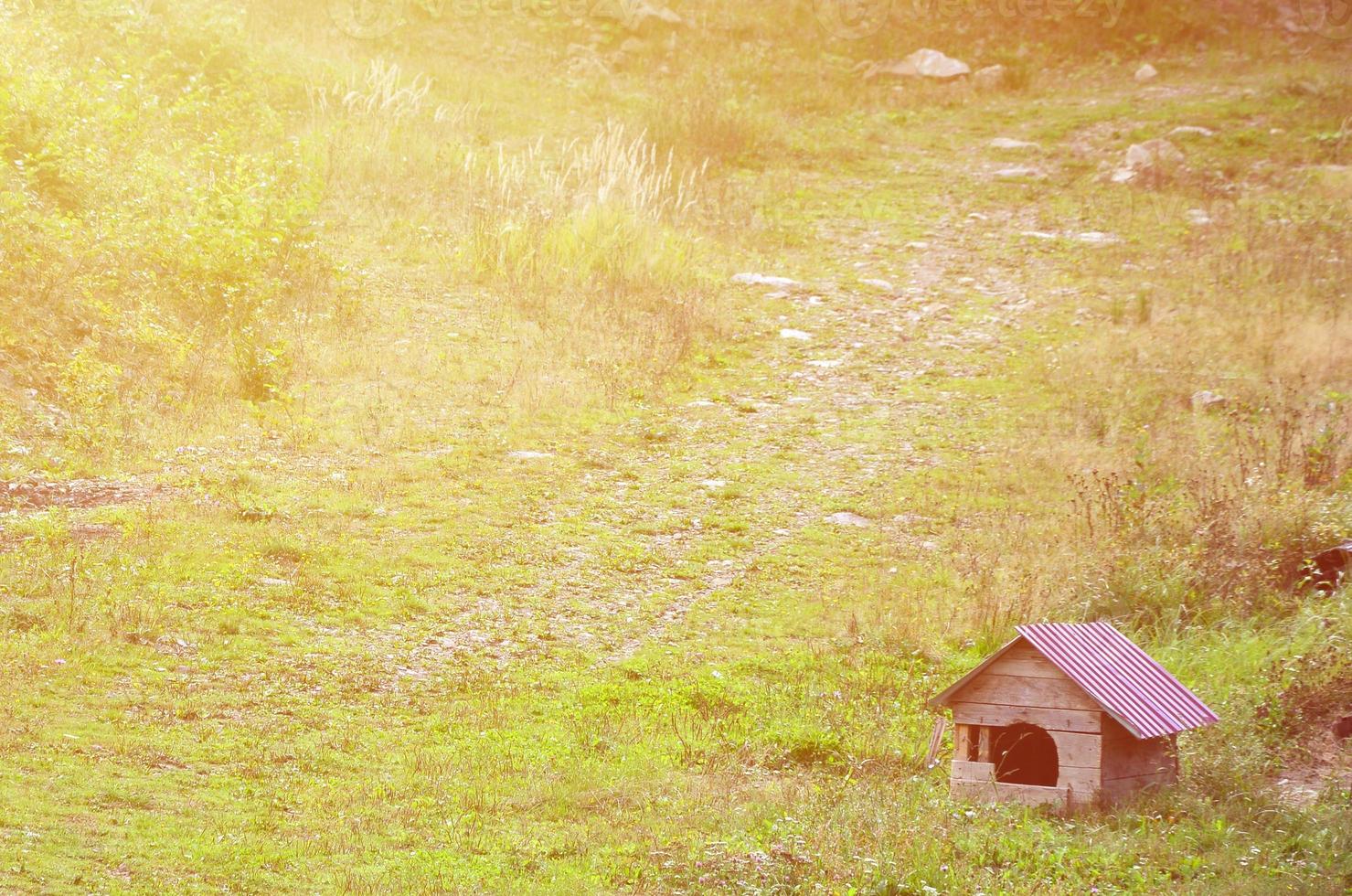 eine kleine Hundehütte im Freien auf einer Wiese foto