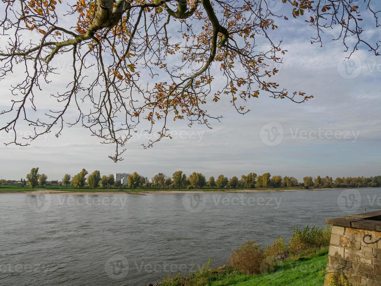 Düsseldorf am Rhein foto