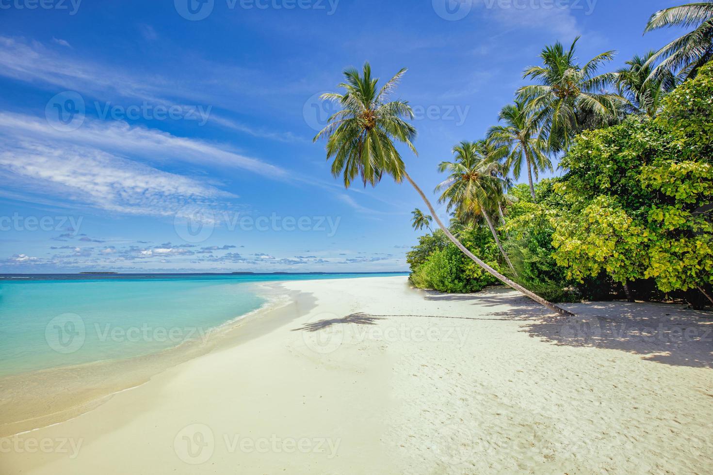 beste tropische Strandlandschaft. fantastische Sommerküste, Urlaubsziel, Palmen, weißer Sand, sonniger Himmel. freiheitsreise, erstaunliche seelagune, paradiesische küstennaturlandschaft. wunderschöner Strand foto