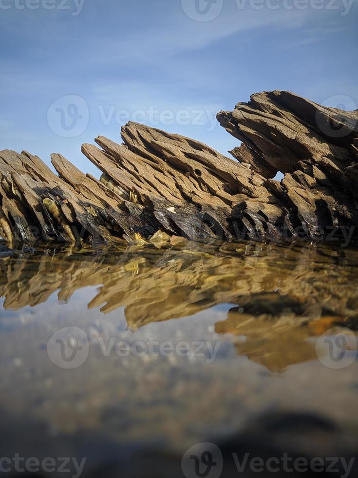 Wasserpfütze in einem Baumstamm am Strand foto