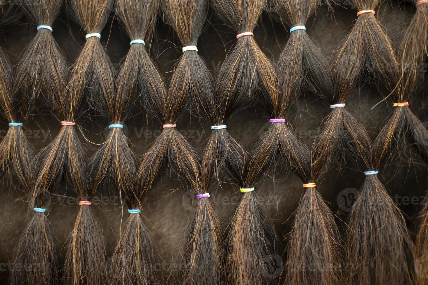 Pferdehaar schließen. Zöpfe an elastischen Bändern. Textur aus Pferdehaar. foto