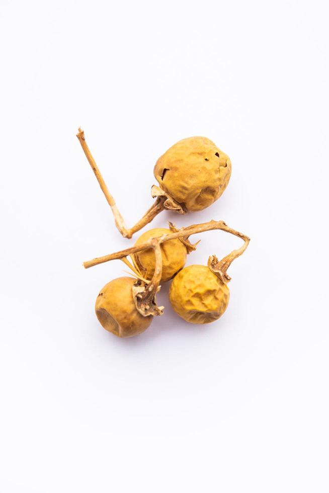 ayurvedisches Choti Kateli, auch bekannt als Kantkari oder Solanum Surattense, getrocknet und in Pulverform foto
