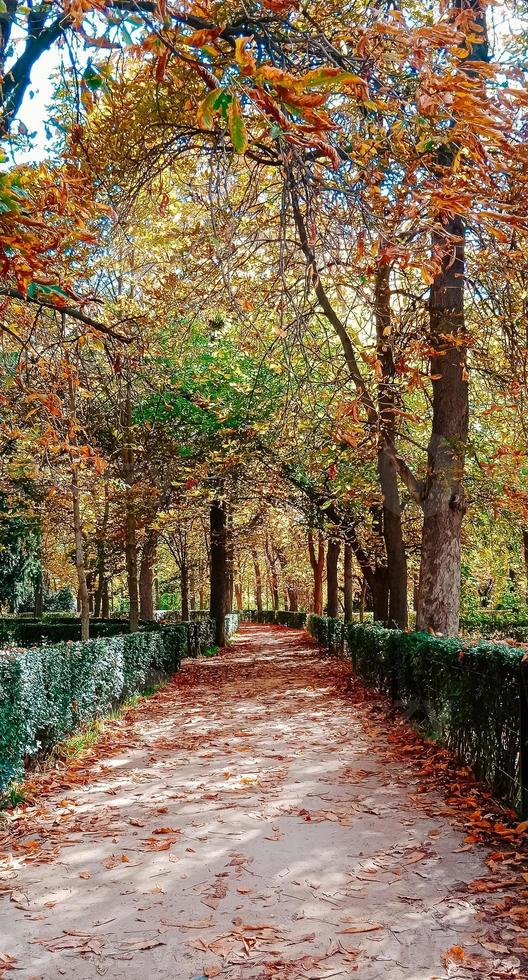 Herbst fällt Landschaft foto