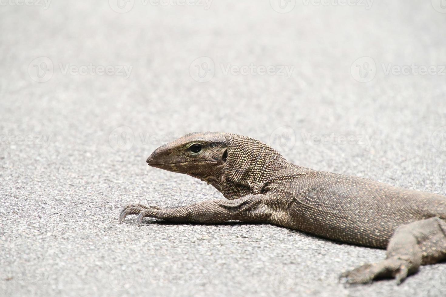 bewölkter monitor, der auf asphalt faulenzt foto