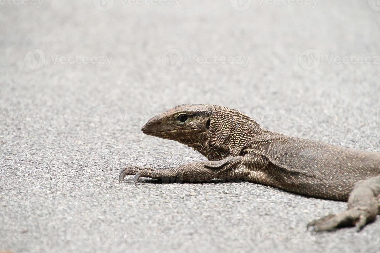 bewölkter monitor, der auf asphalt faulenzt foto