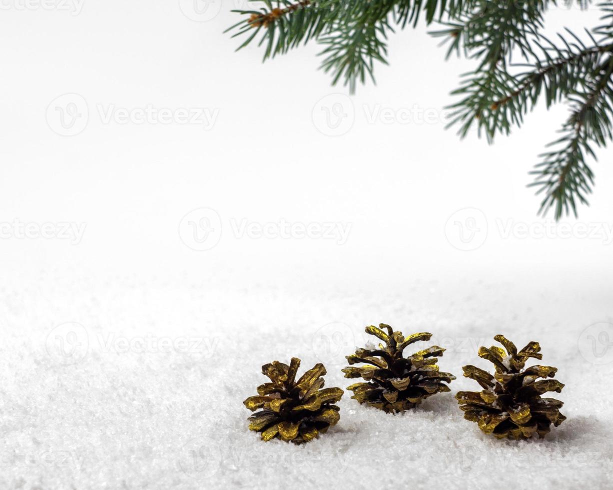 Drei Tannenzapfen liegen im Winter unter einem Fichtenzweig auf dem Schnee foto