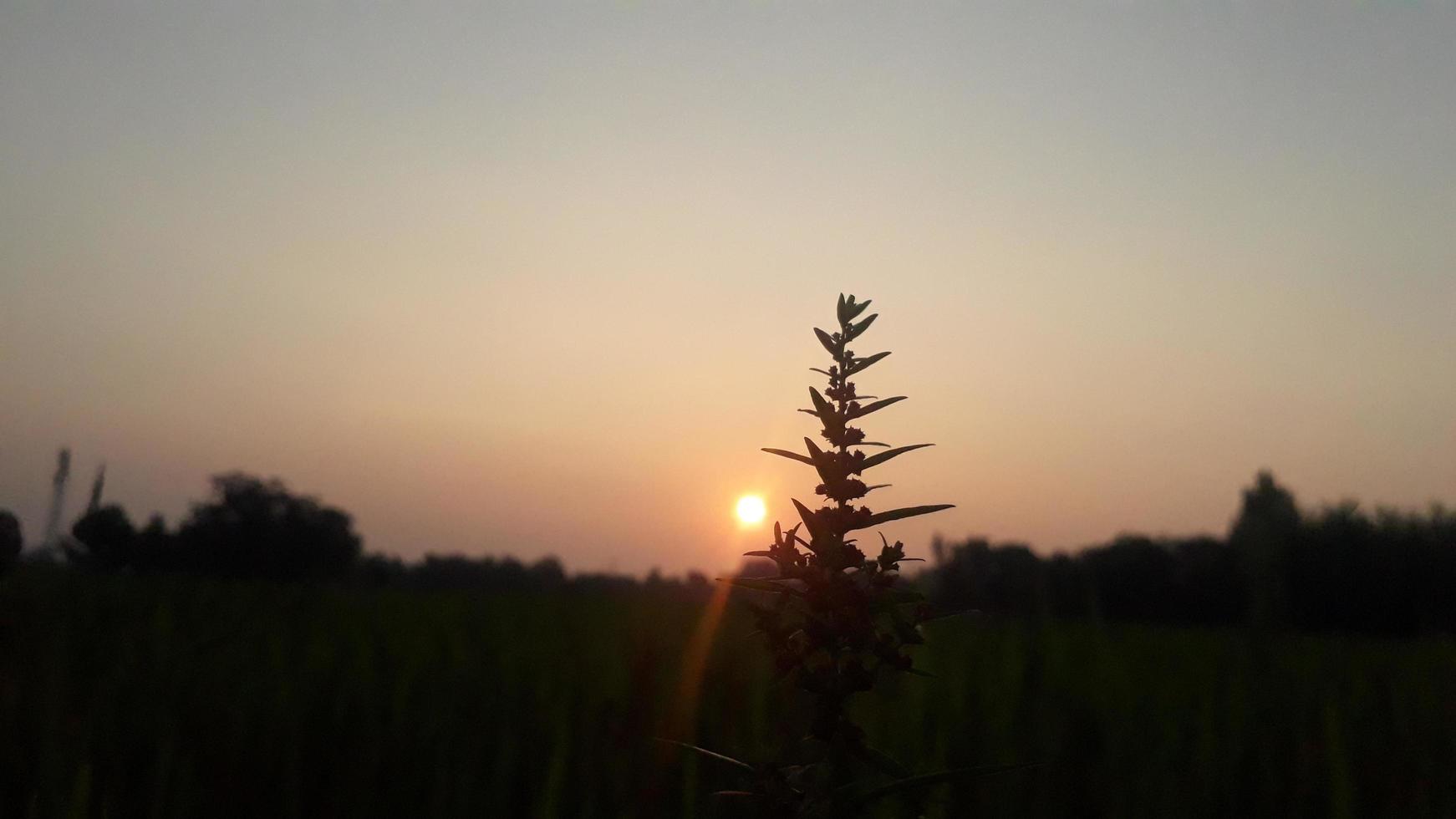 Sonnenuntergang schönes Dorf Abendfoto foto