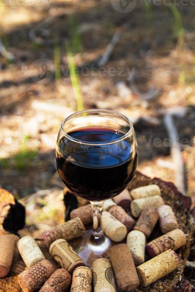 Ein Glas mit Rotwein und Weinkorken auf einem Baumstumpf in einem Sommerwald an einem sonnigen Tag. foto