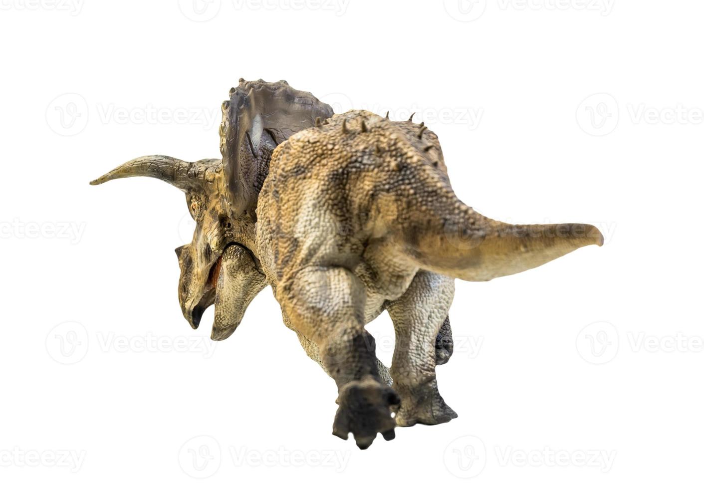 Dinosaurier, Triceratops auf isoliertem Hintergrund Beschneidungspfad foto