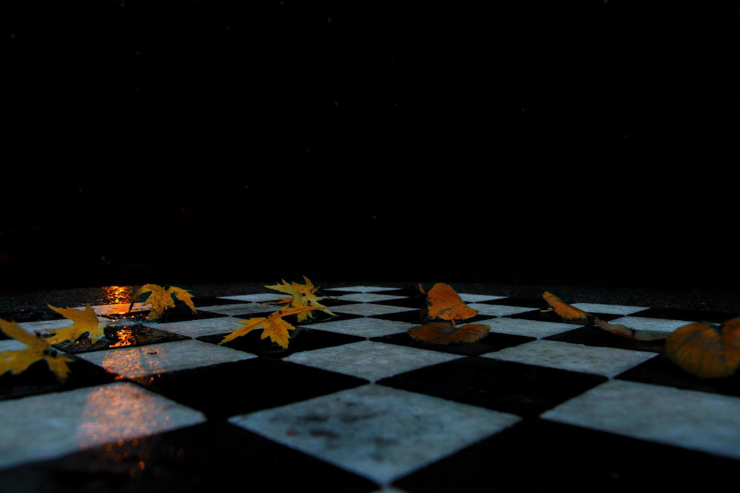 Blätter auf einem Schachbrett foto