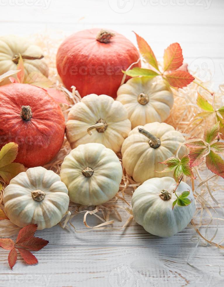 Thanksgiving oder Ernte Flatlay mit Kürbissen foto