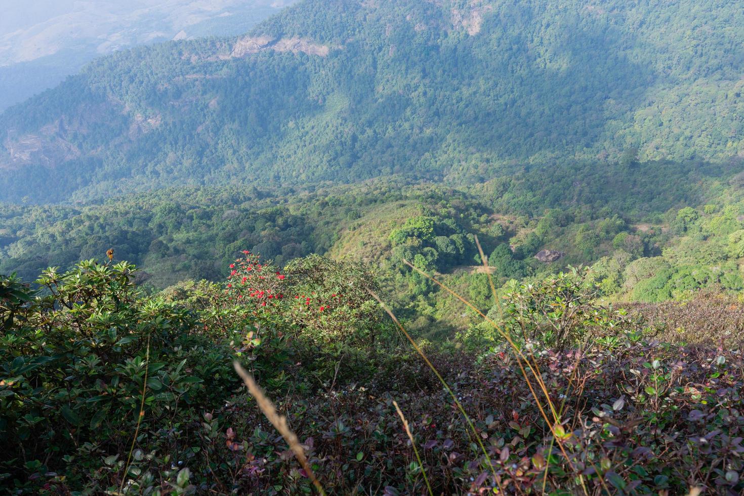 Landschaft bei Kew Mae Pan, Thailand foto