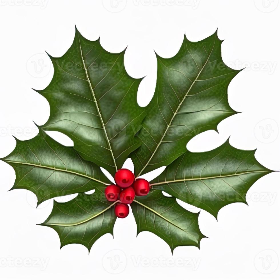 3D-Weihnachtsstechpalmenblatt auf isoliertem weißem Hintergrund. urlaub, feier, dezember, frohe weihnachten foto