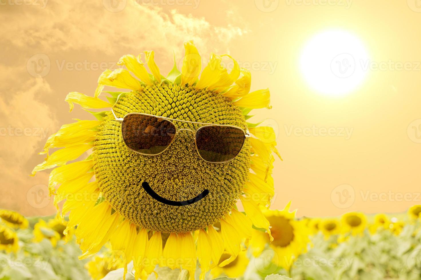 sonnenblume mit sonnenbrille und lächeln bei sonnenaufgang foto