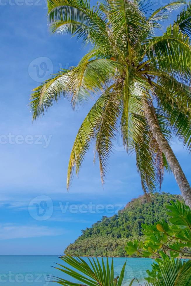 Schöner tropischer Strand als Sommermeerblick mit Palme und blauem Himmel für Reisen in der Urlaubszeit, auf Naturhintergrund foto