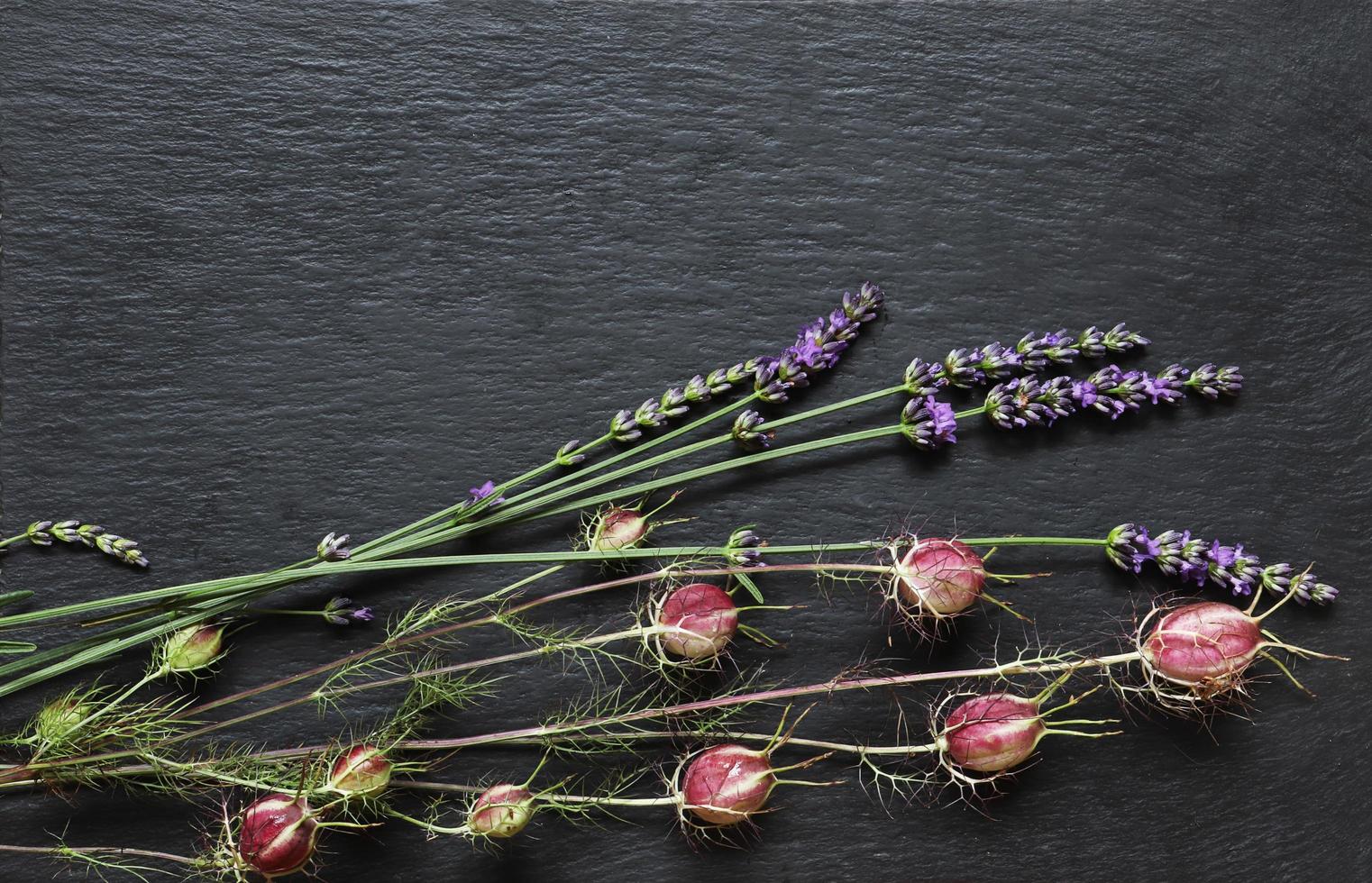 Damaskus Nigella und Lavendelzweige foto