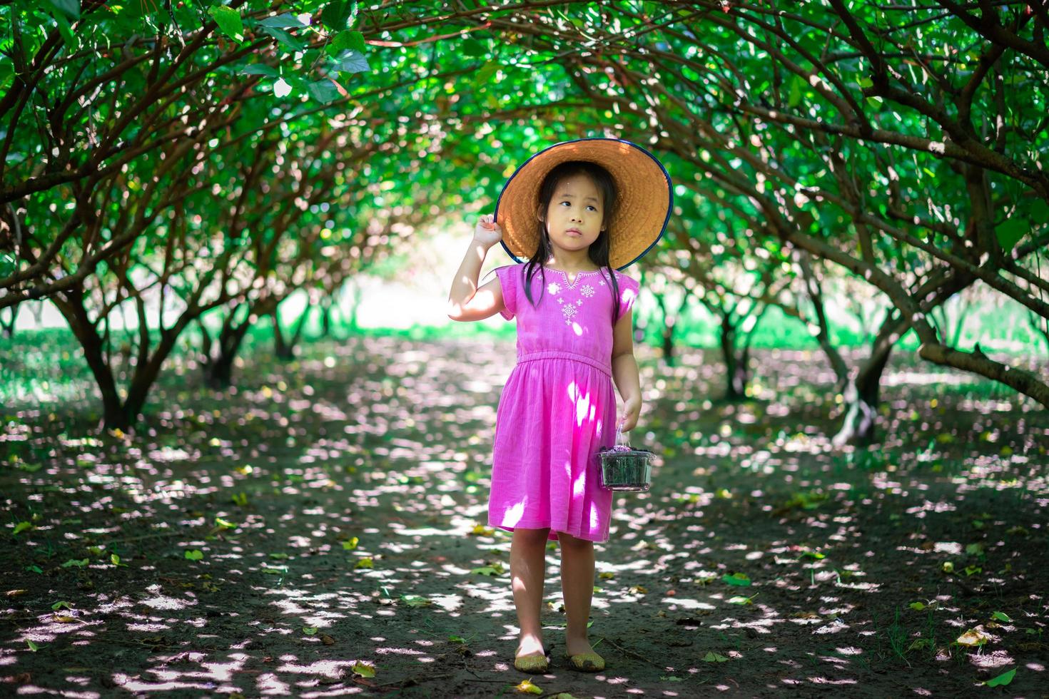 kleines asiatisches Mädchen, das die Maulbeerfrucht betrachtet foto