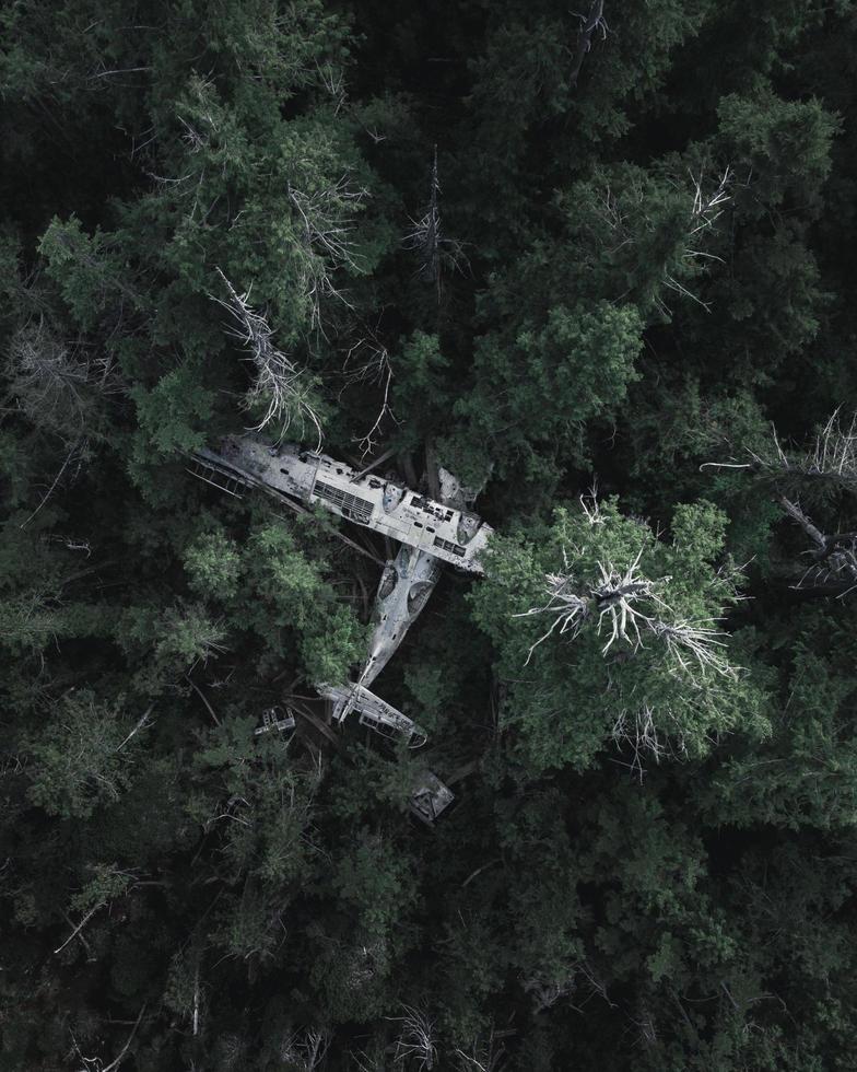 Hochwinkelfoto von grünen Bäumen mit abgestürztem Flugzeug foto