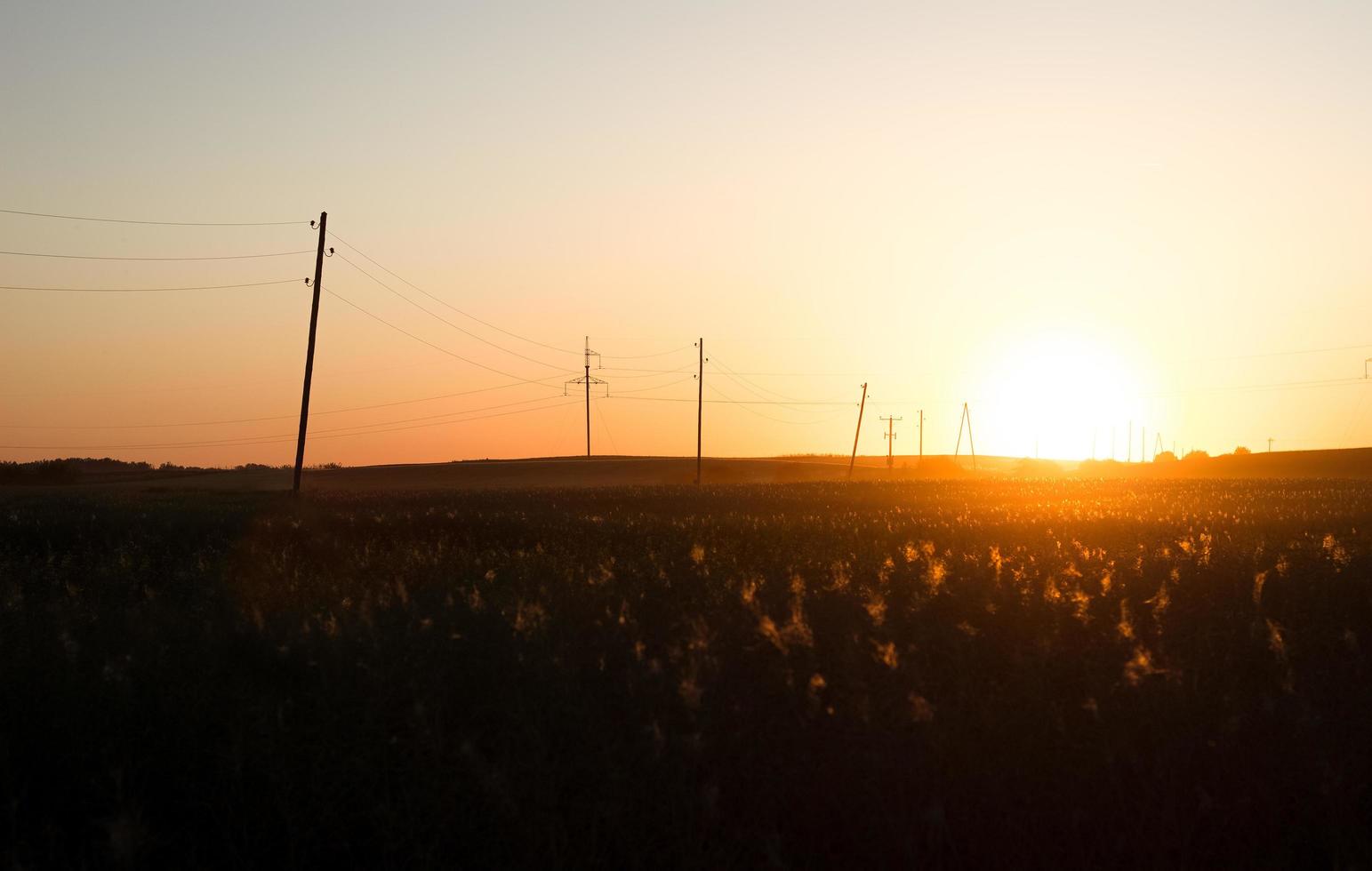 Feld- und Telefonleitungen bei Sonnenaufgang foto