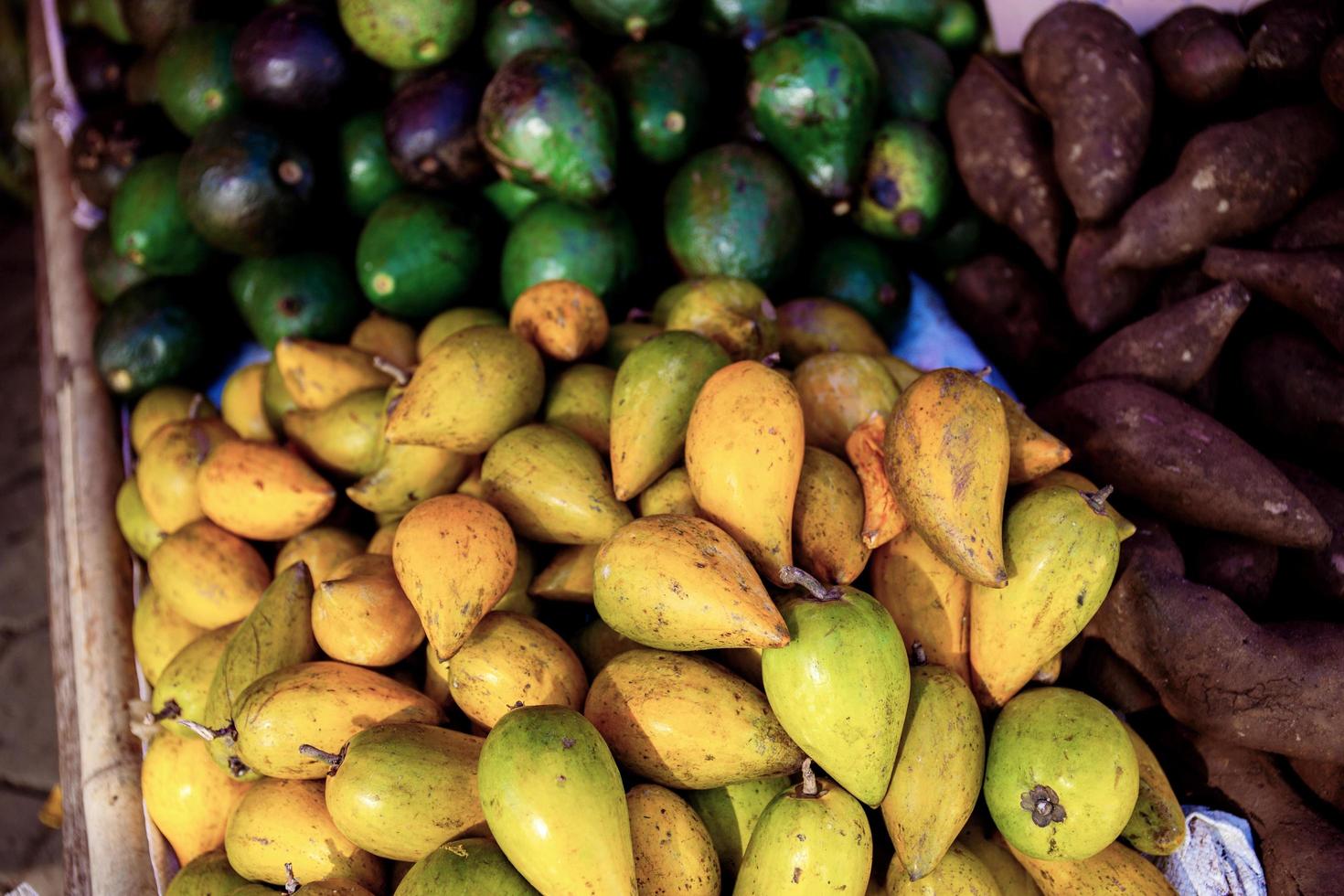 Ernte von frischem Obst foto