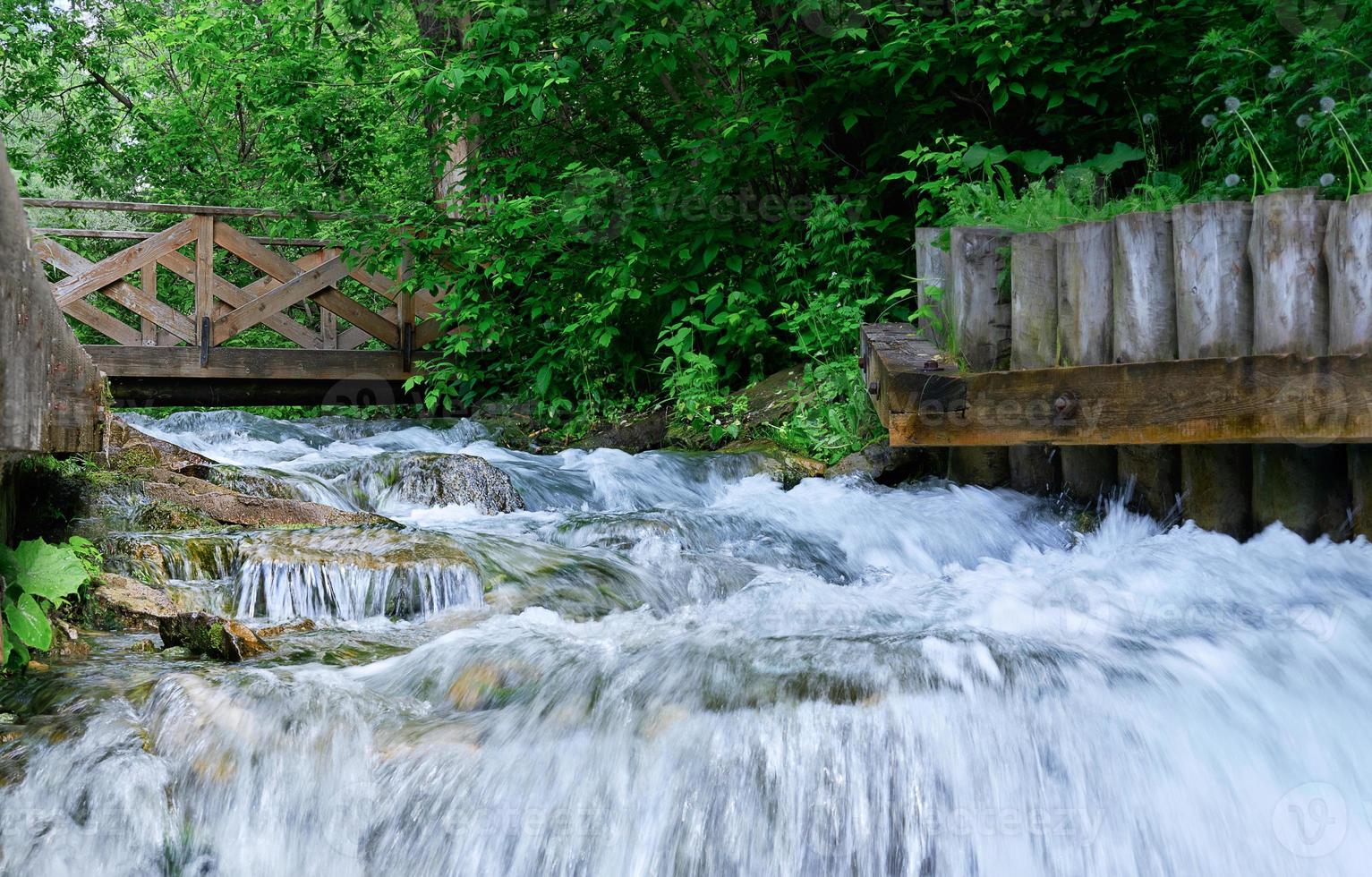 kleiner Wasserfall im Wald. Sommerlandschaft mit viel Grün im Sommer foto