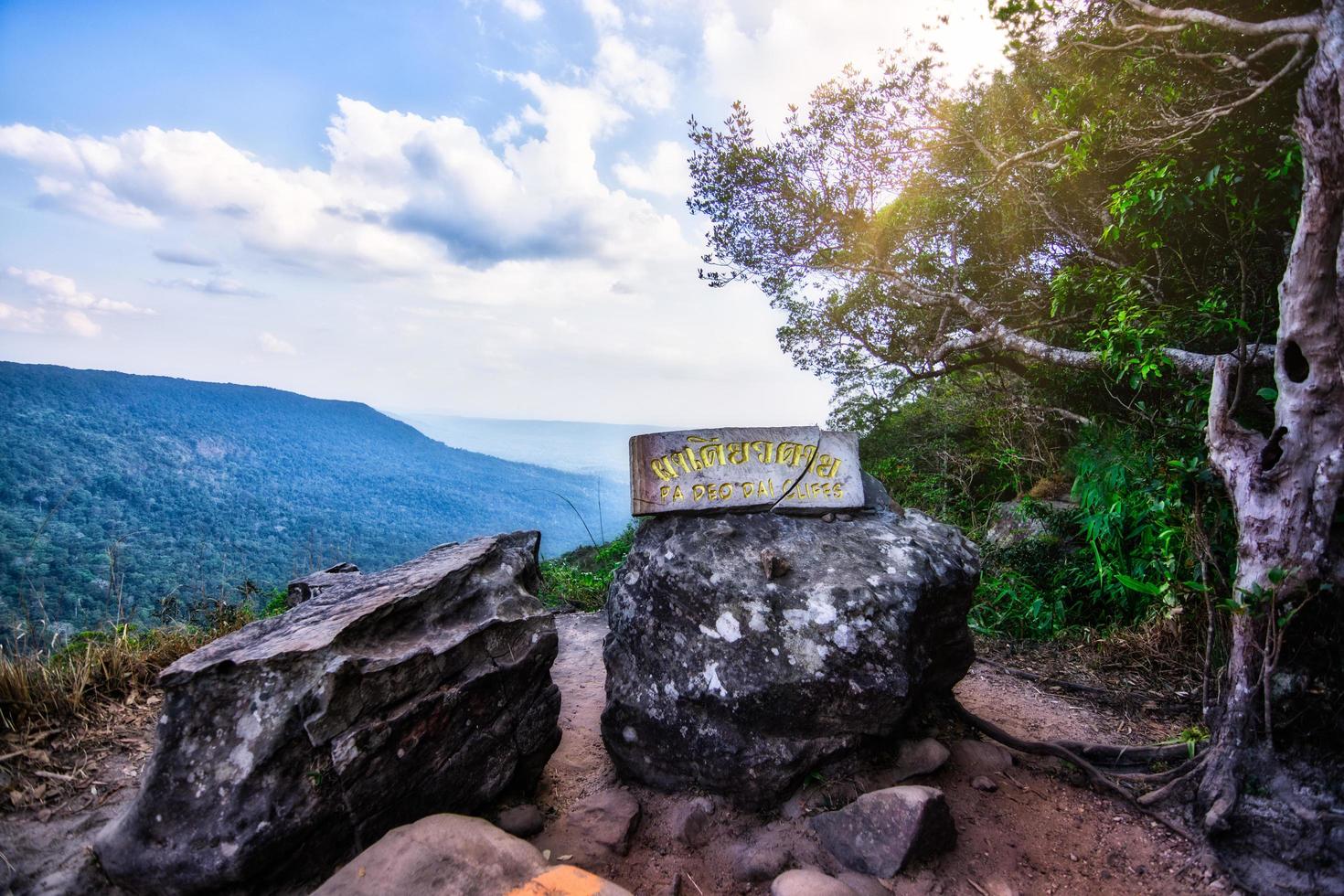 Felsen im Wald foto