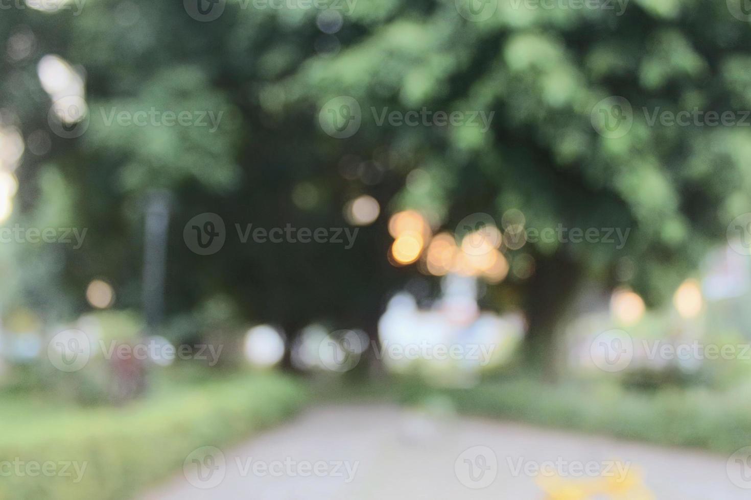 eine junge oder baby-morinda citrifolia oder noni oder mengkudu in indonesien wächst am rand einer kleinen straße in einem wohngebiet. mit vielen Ameisen auf der Frucht. foto